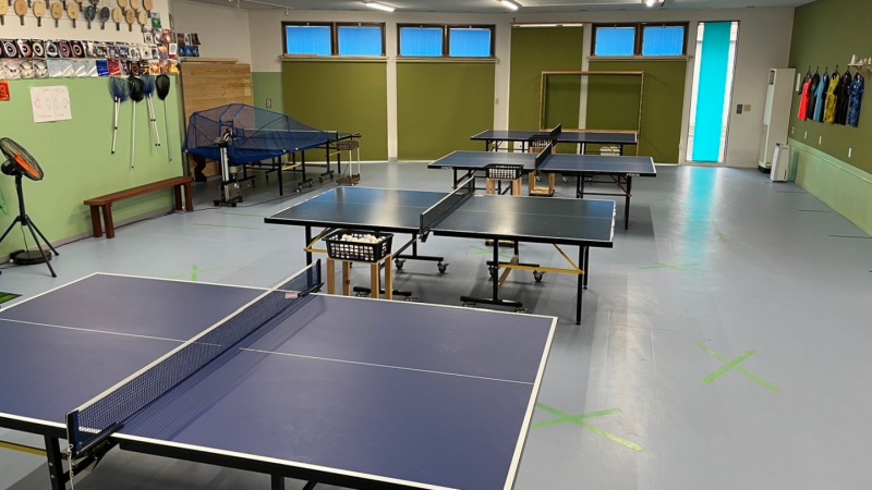 卓球台